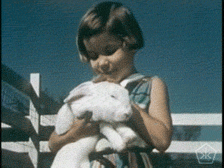 Frances and Her Rabbit!